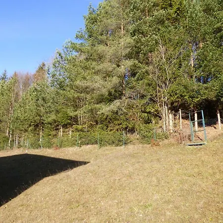 Lejlighed Haus Alois Nussbaumer Jun. Saalfelden